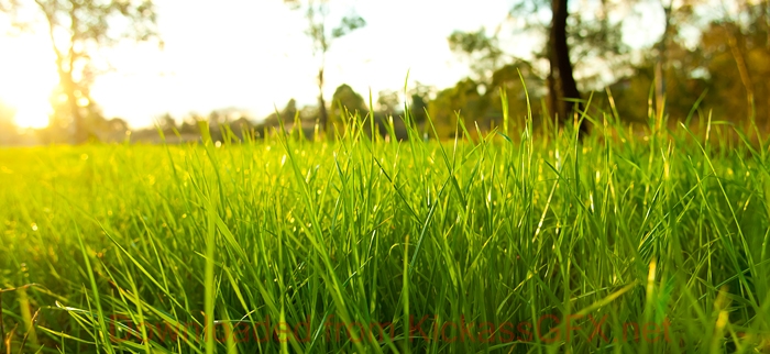 账号注册码的短信测压app